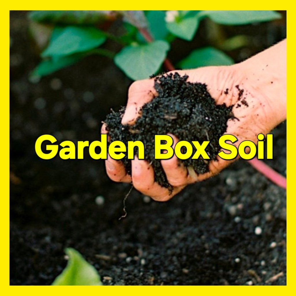 PREMIUM TOP SOIL and GARDEN