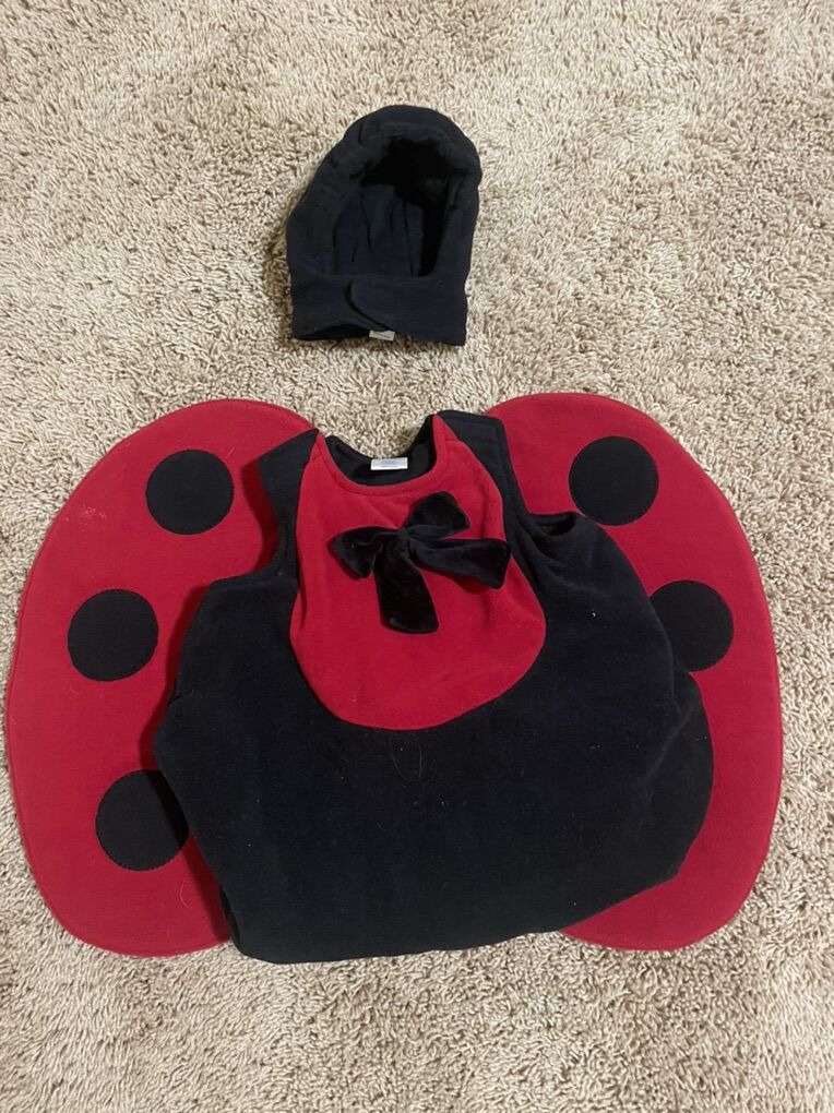 Toddler Ladybug Costume