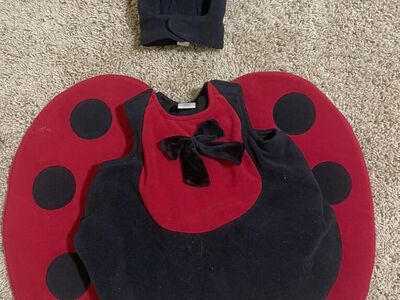 Toddler Ladybug Costume