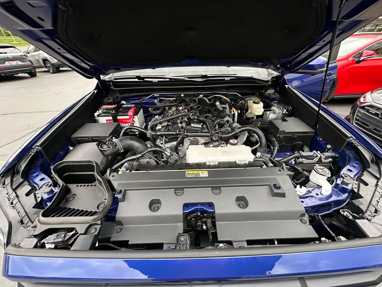 Main image 7