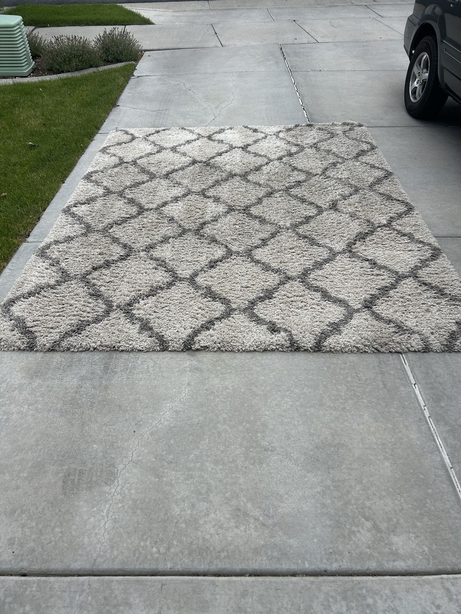 Shag Area Rug