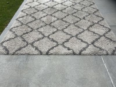 Shag Area Rug