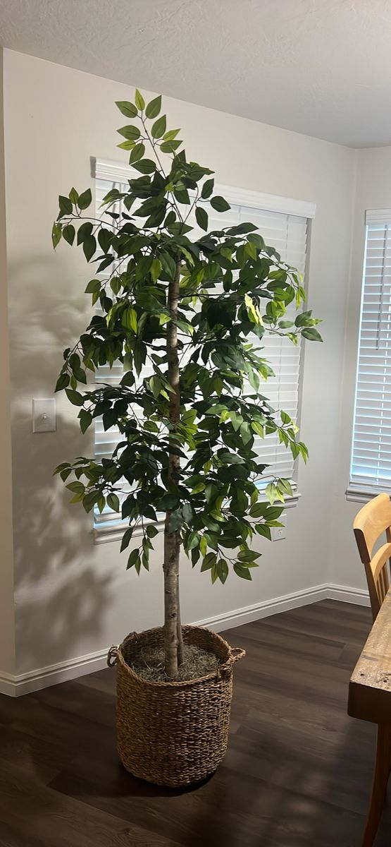 Large Artificial Ficus Tree in Woven Basket