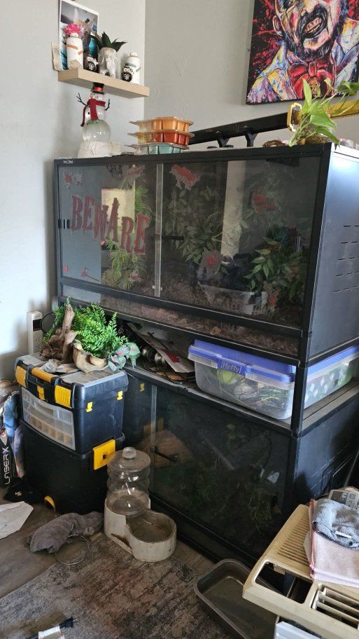 120 gallon reptile enclosures
