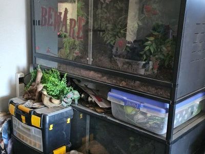 120 gallon reptile enclosures