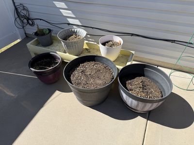 6 planters and a stand