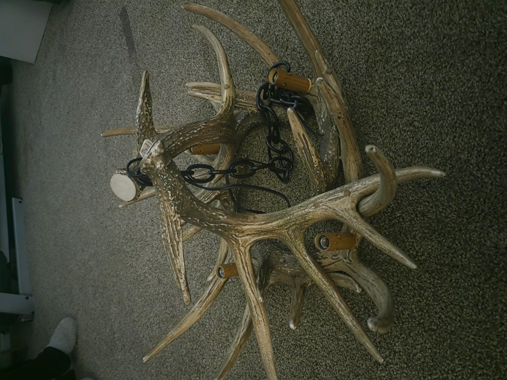 Faux Antler Chandelier
