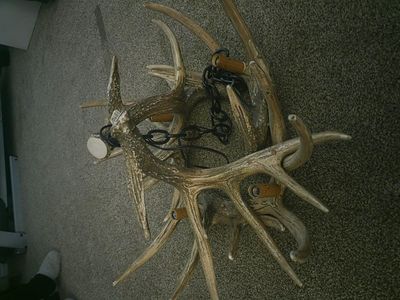 Faux Antler Chandelier