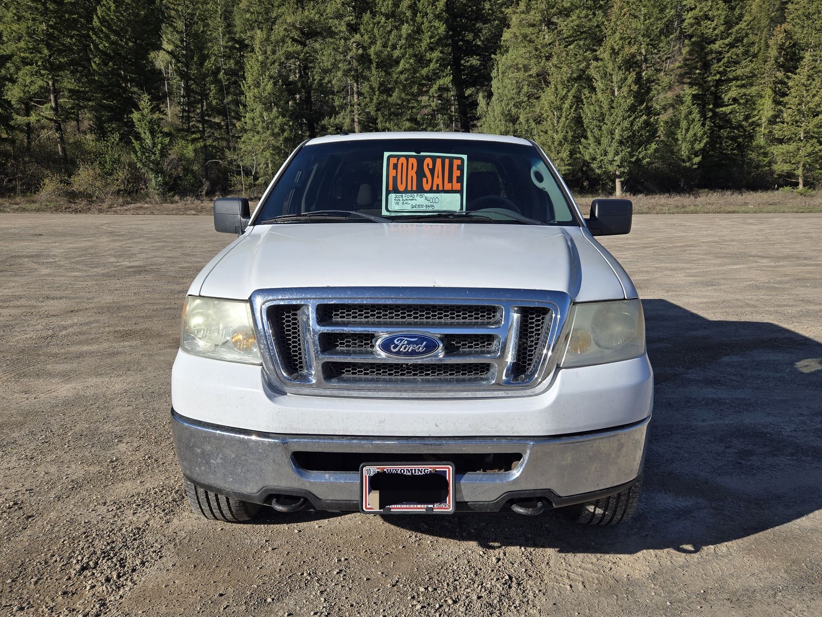 2008 FORD F150 XLT