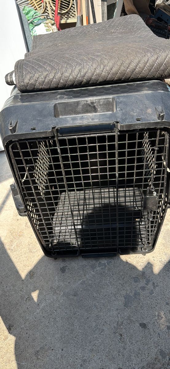 Black Heavy-Duty Plastic Pet Kennel Crate with Wire Mesh Door