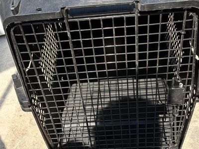 Black Heavy-Duty Plastic Pet Kennel Crate with Wire Mesh Door