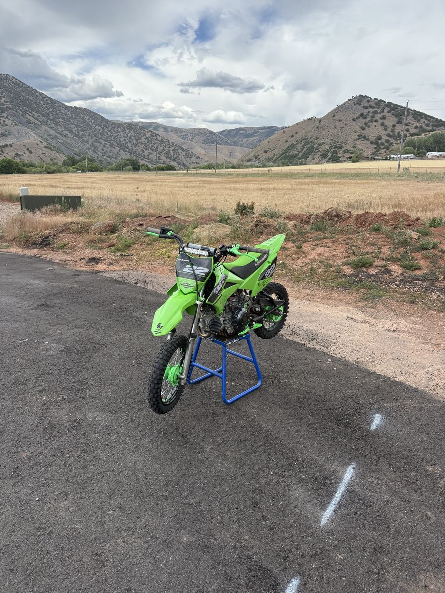 2014 Kawasaki Klx 110 RL