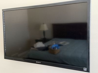 Sony 40" with Wall Mount