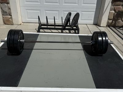 Bumper weight platform, bumper plates, olympic bar