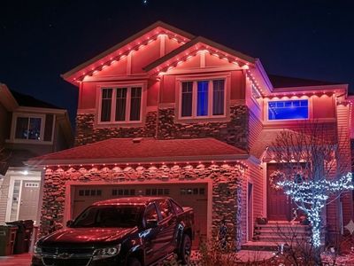 Permanent Lights Factory Price