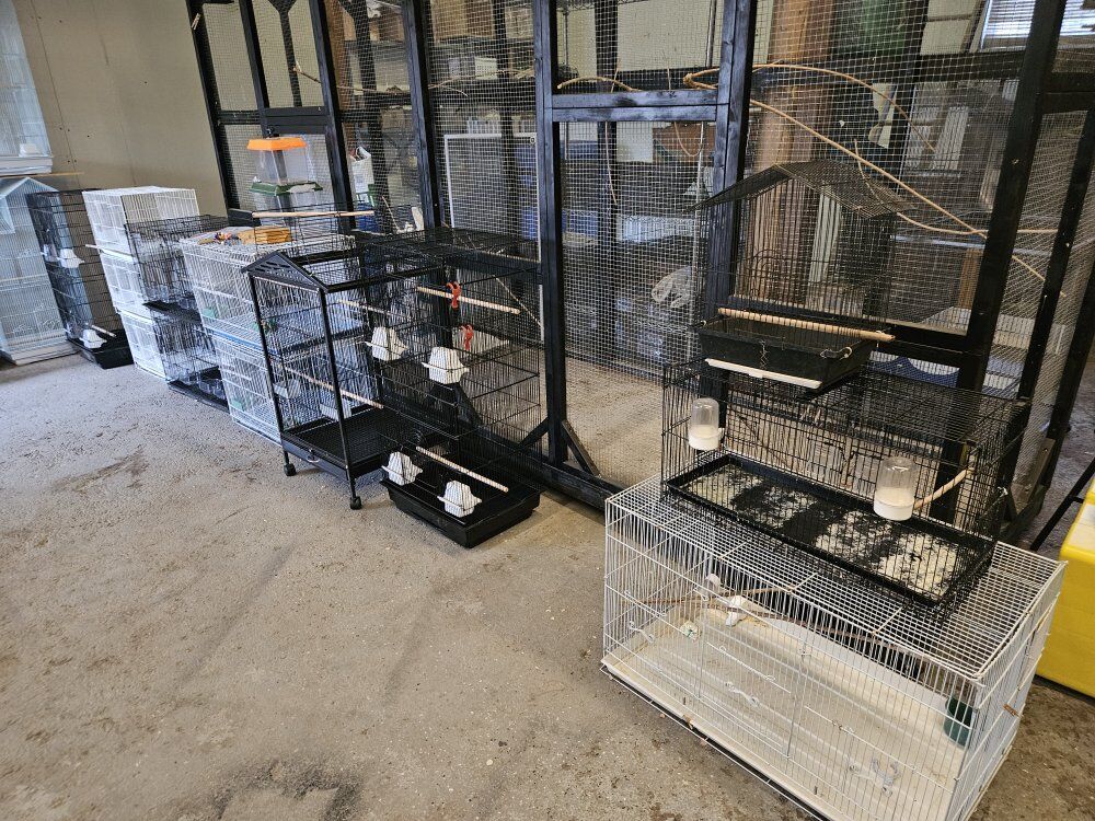 Buy now pick up later Bird cages