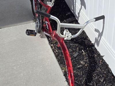 WeeRide Pro-Pilot Two-Wheel Bicycle Trailer, Red