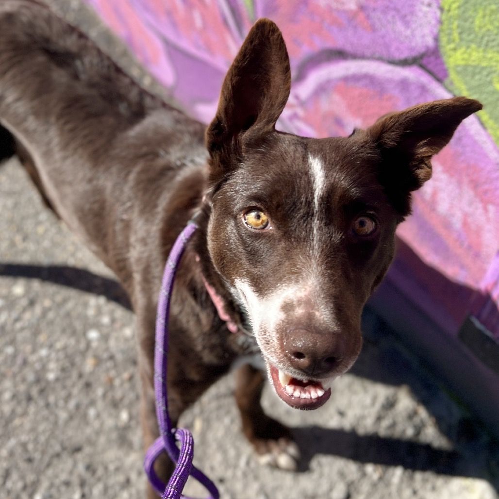 Hello my name is Zinnia