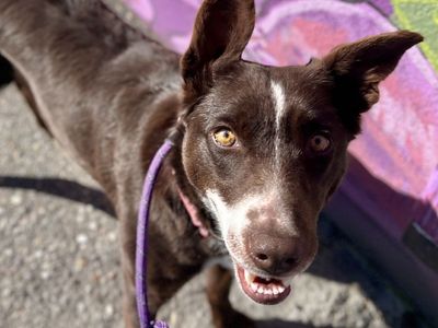 Hello my name is Zinnia