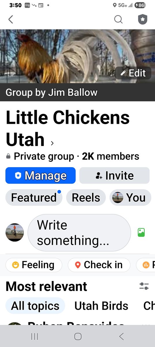 Little chickens utah.  Ive got a great group page for small bantam breeds , and micro breeds