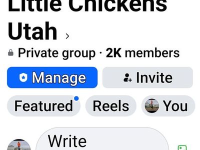 Little chickens utah. Ive got a great group page for small bantam breeds , and micro breeds