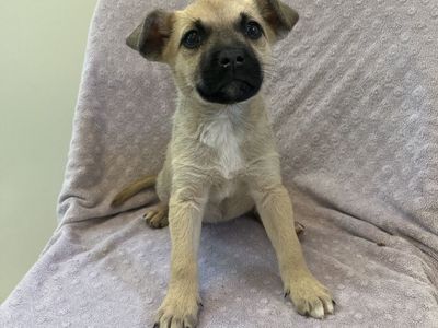 Hello my name is Lemonhead