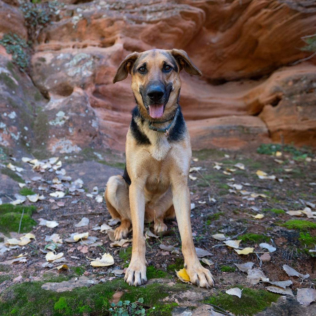 Hello my name is Lemon