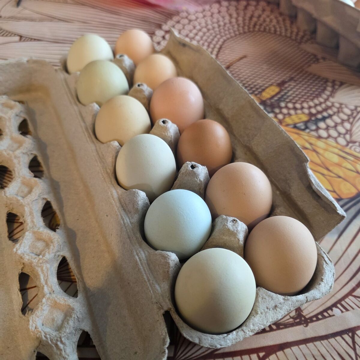 Farm Fresh Eggs