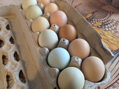 Farm Fresh Eggs