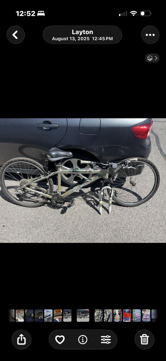 Diamondback Lux Mountain Bike 2009 Gold Medium