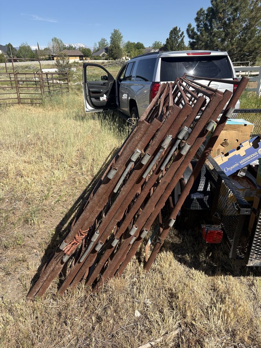 Horse panels