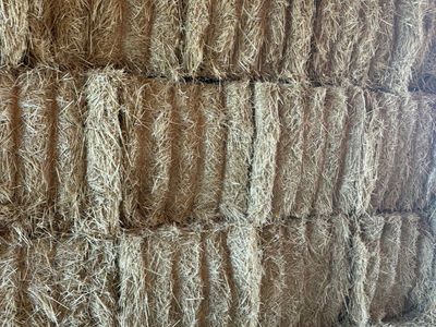 Straw Bales - Barn Stored