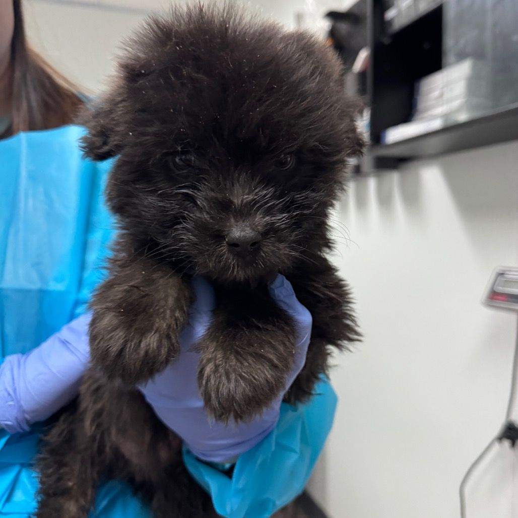 Hello my name is Rain