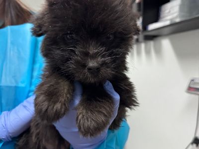 Hello my name is Rain