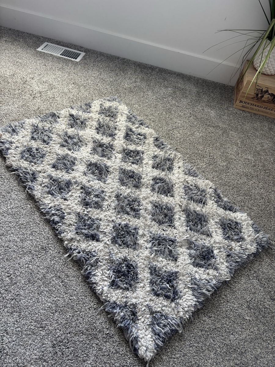 Blue and White Rug