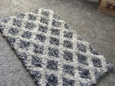 Blue and White Rug