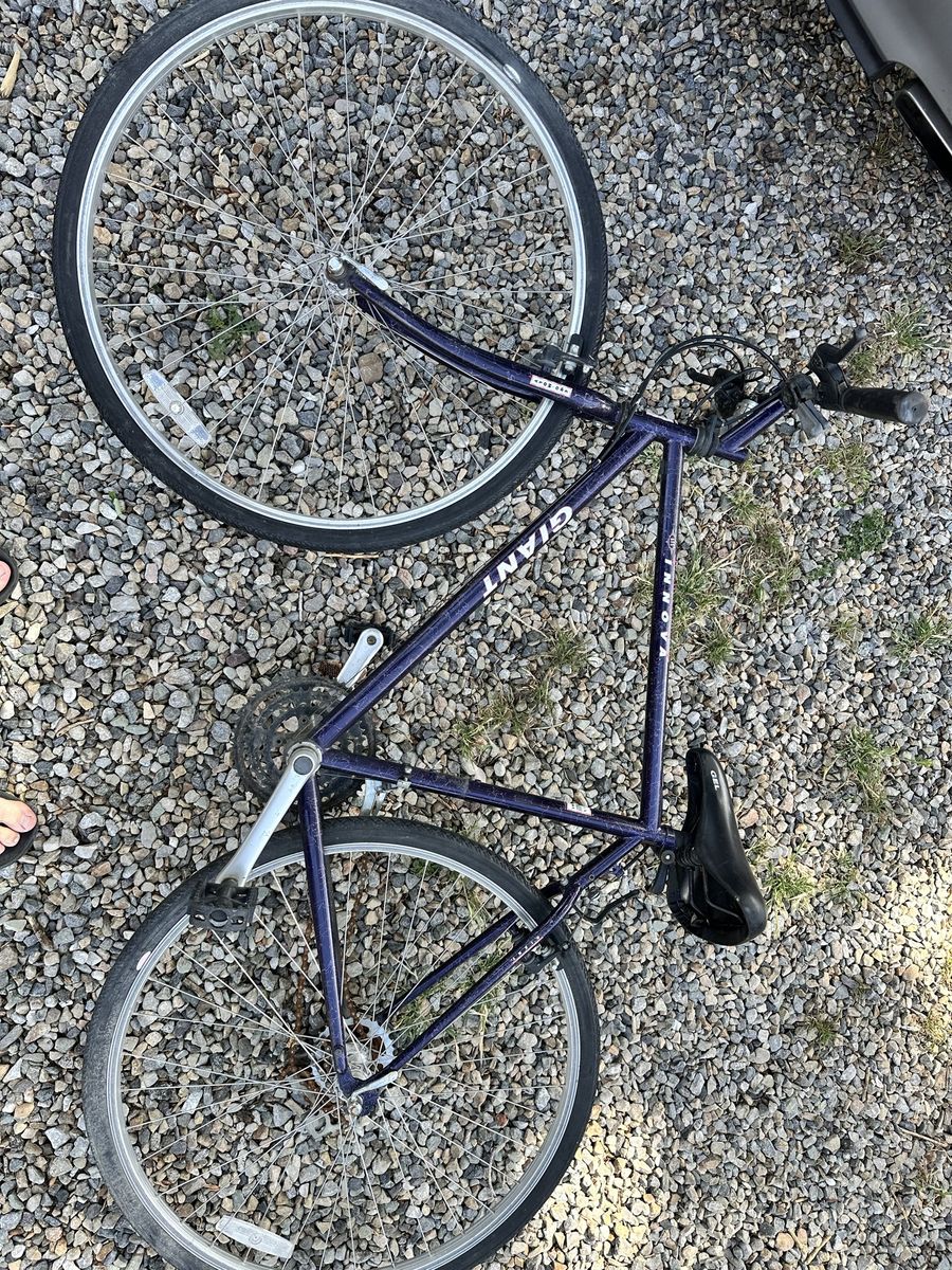 Abandoned bike