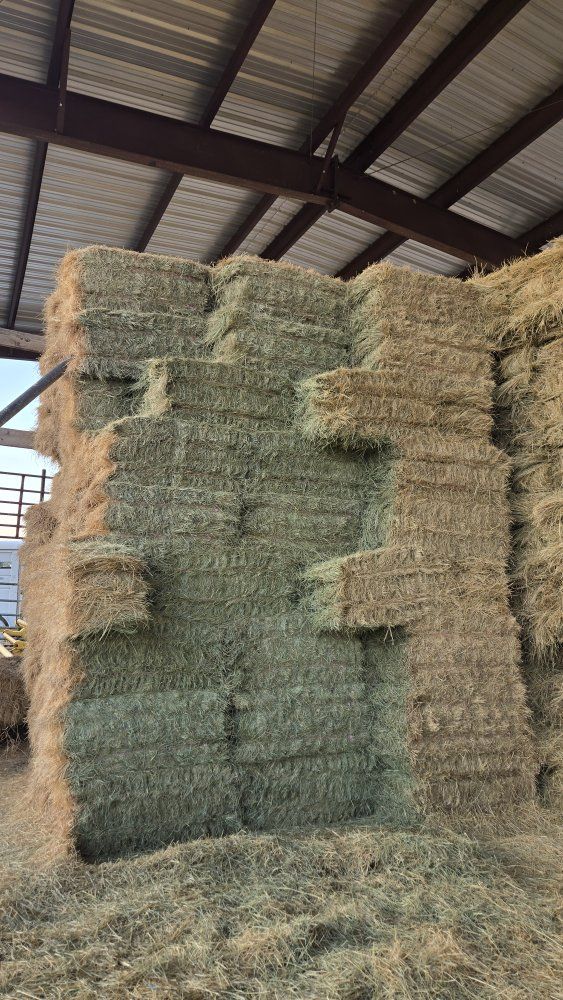 Excellent quality grass hay