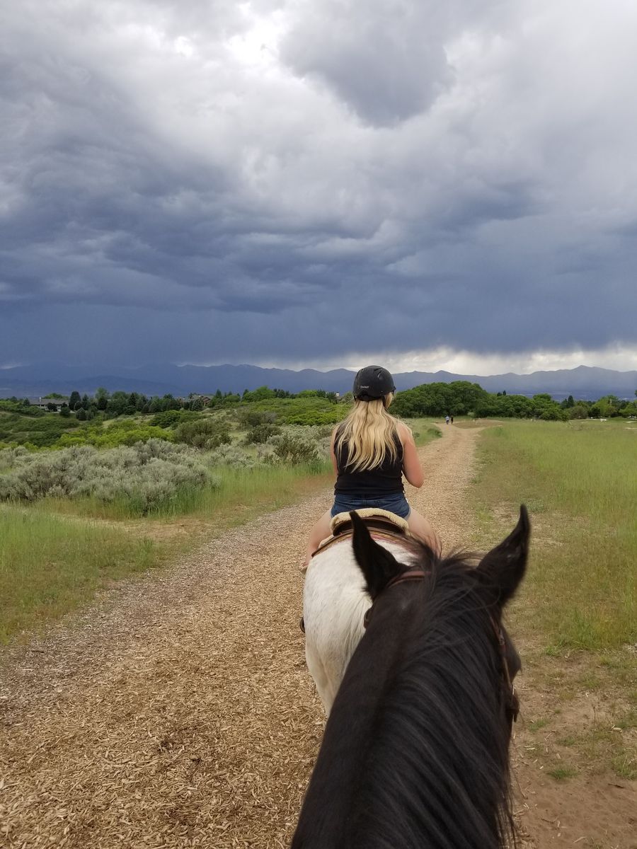 Horse Boarding- Paddock for Rent