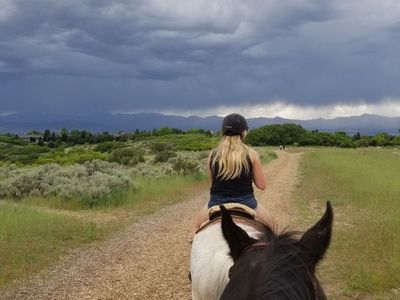 Horse Boarding- Paddock for Rent