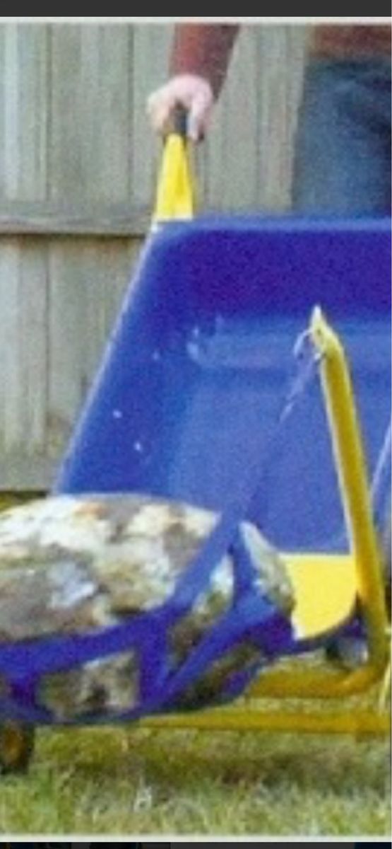 Main image 17