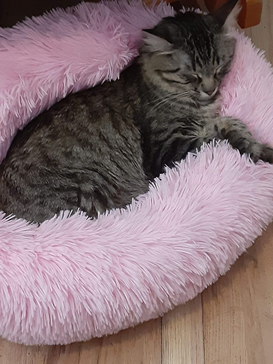 Missing Since 7/7/26