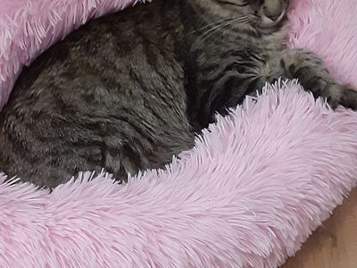 Missing Since 7/7/26
