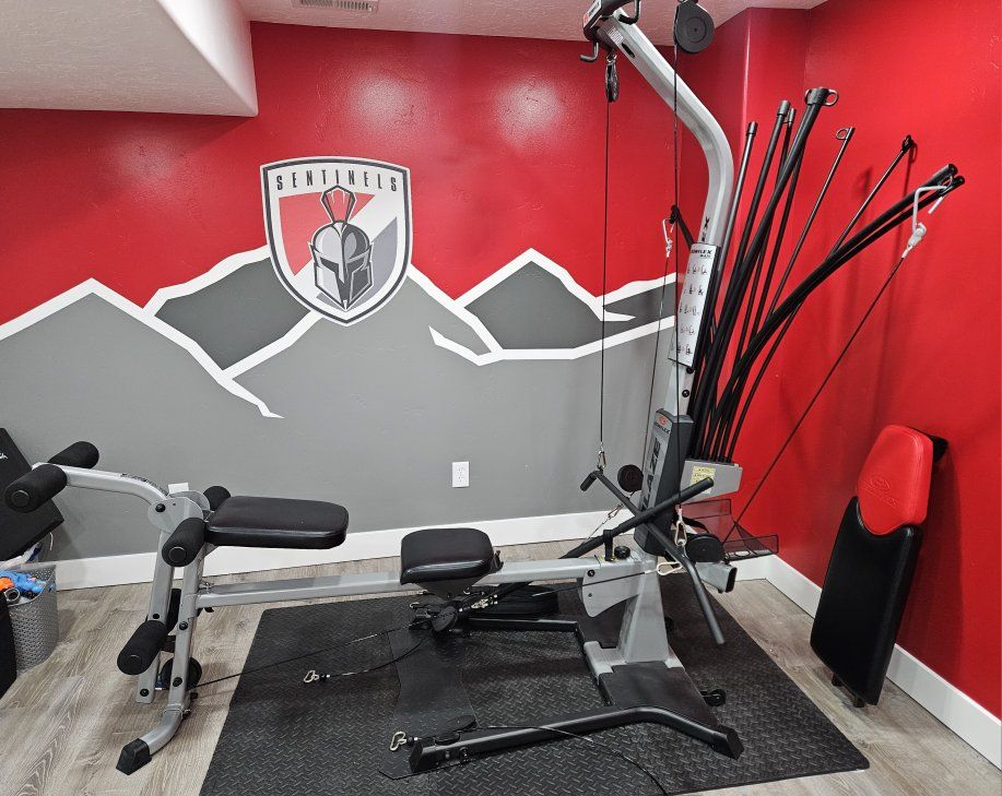 Bowflex Blaze Home Gym Full Body Workout Machine with 210 lbs Power Rod Resistance