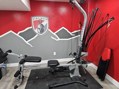 Bowflex Blaze Home Gym Full Body Workout Machine with 210 lbs Power Rod Resistance