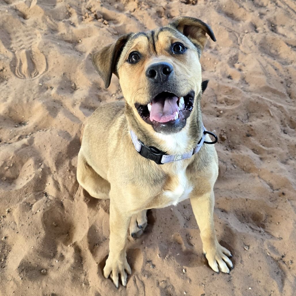 Hello my name is Nicole