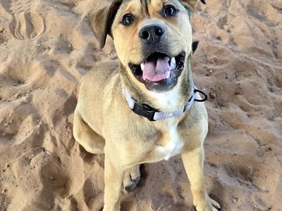 Hello my name is Nicole