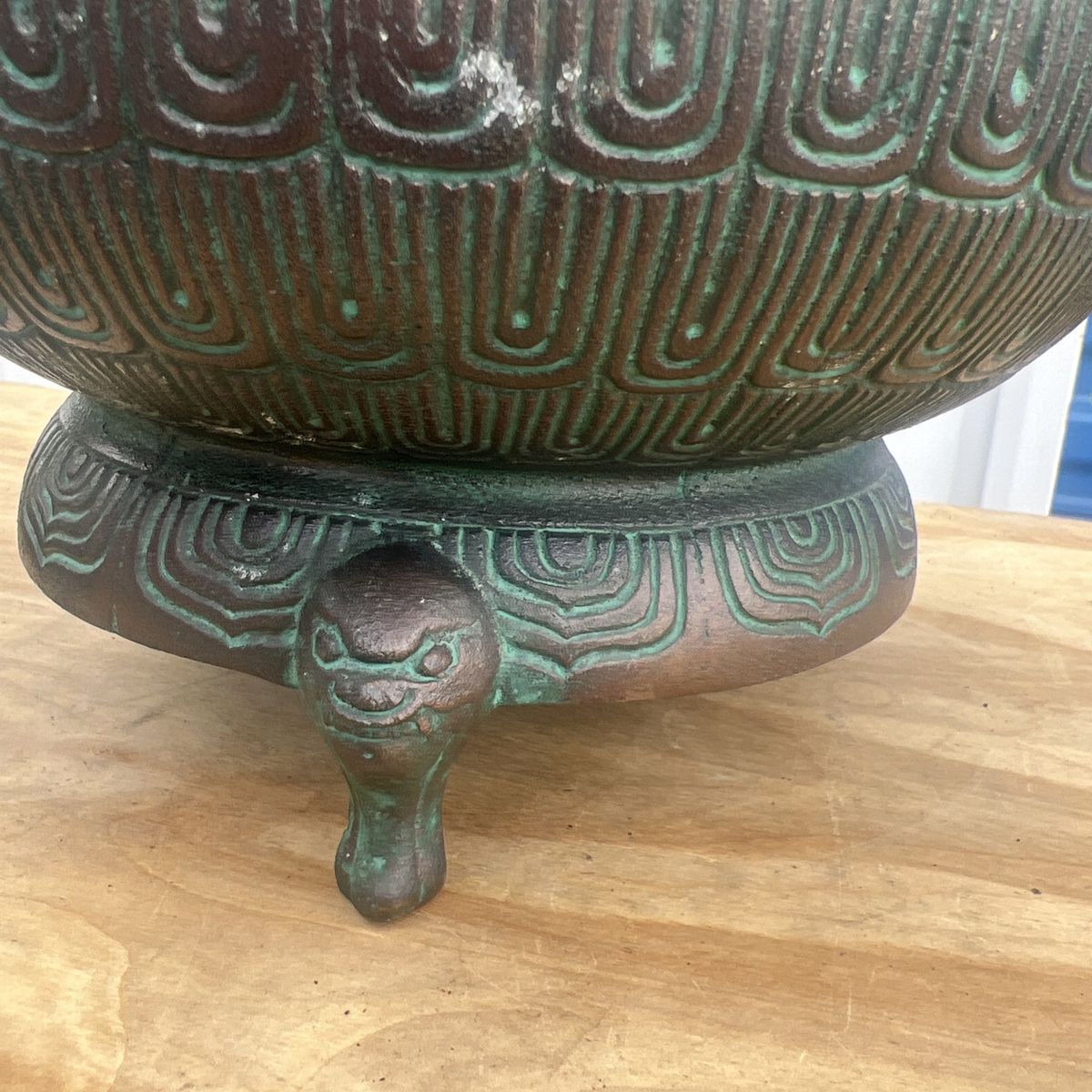 Main image 6