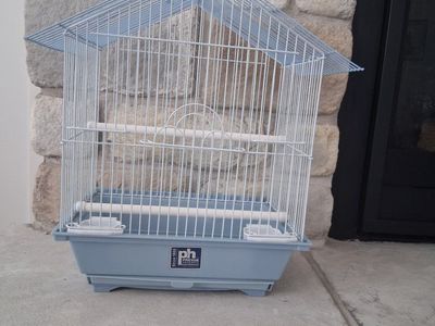 Bird Cage
