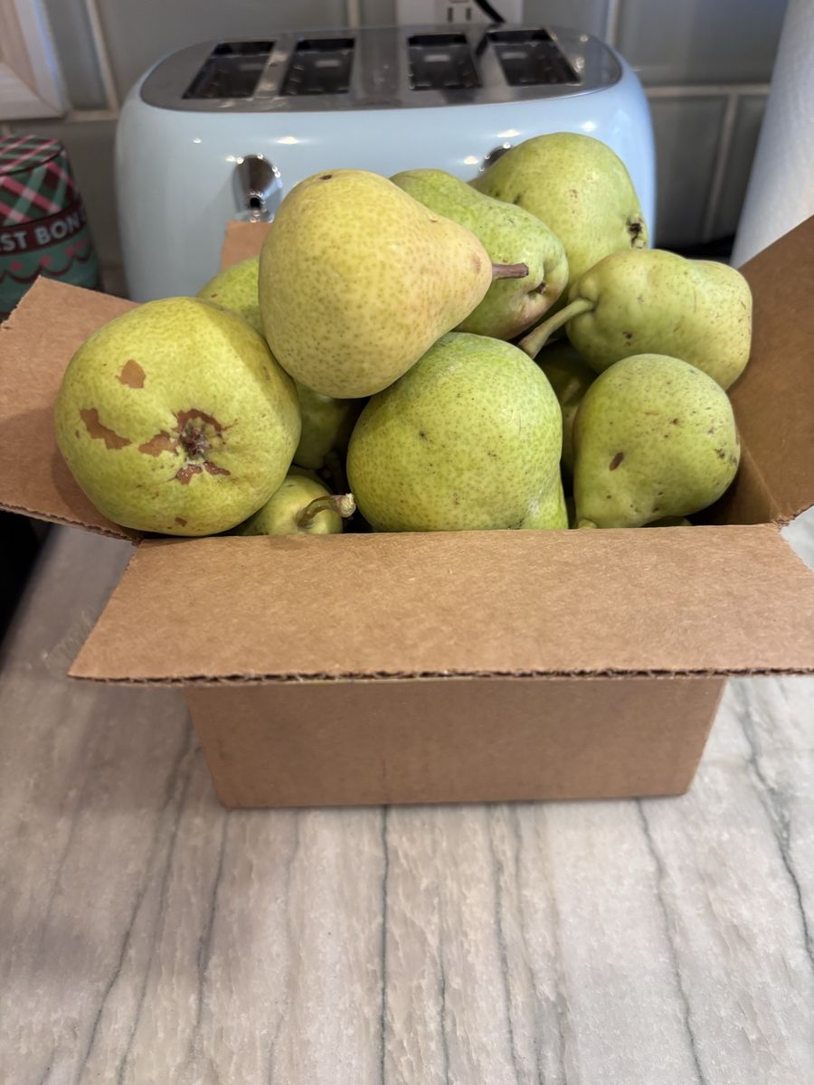 Small box of organic bartlett pears